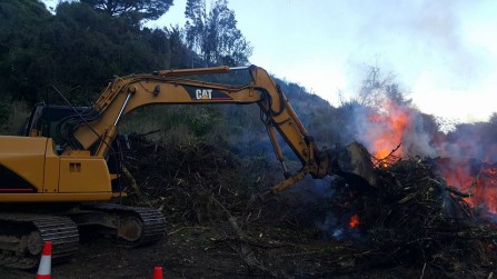 Vegetation Clearing