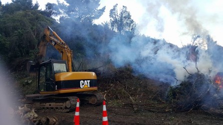 Vegetation Clearing