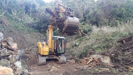 Vegetation Clearing