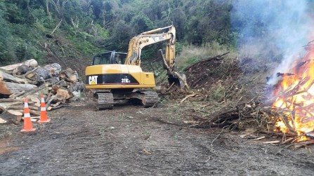 Vegetation Clearing