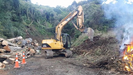 Vegetation Clearing