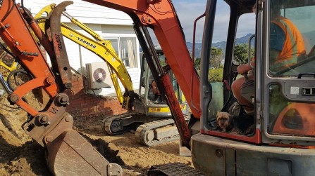 Digging out a new extension at Roseneath.